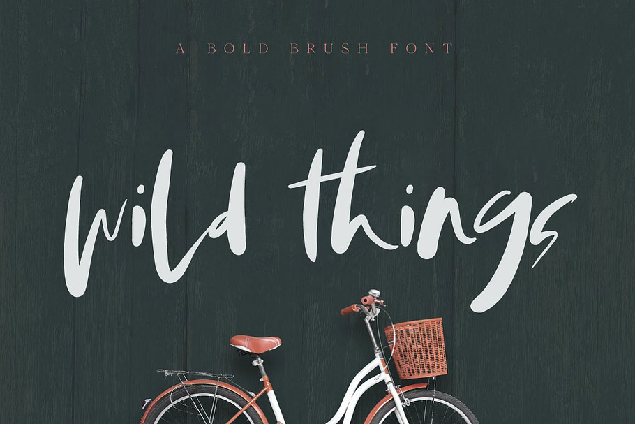 Wild Things Brush Font in Script Fonts - product preview 8
