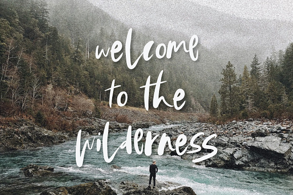 Wild Things Brush Font in Script Fonts - product preview 8