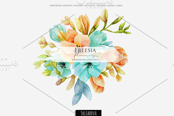 Freesia. Watercolor collection.