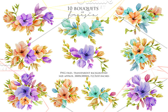Freesia. Watercolor collection. in Illustrations - product preview 2