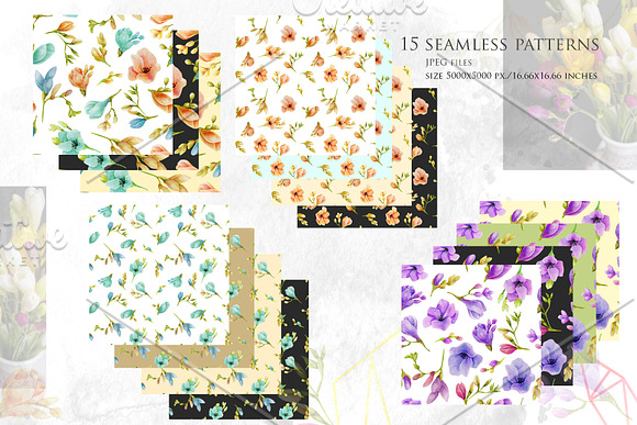 Freesia. Watercolor collection. in Illustrations - product preview 7