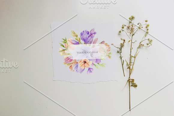 Freesia. Watercolor collection. in Illustrations - product preview 9