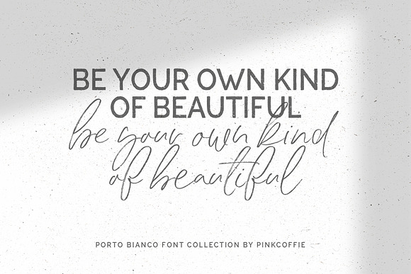 Porto Bianco Font Duo + 22 Logos in Display Fonts - product preview 6