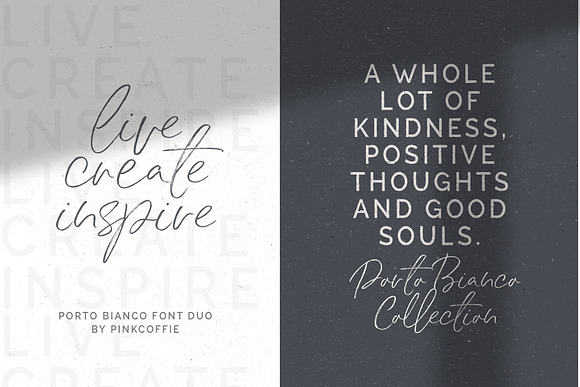 Porto Bianco Font Duo + 22 Logos in Display Fonts - product preview 14