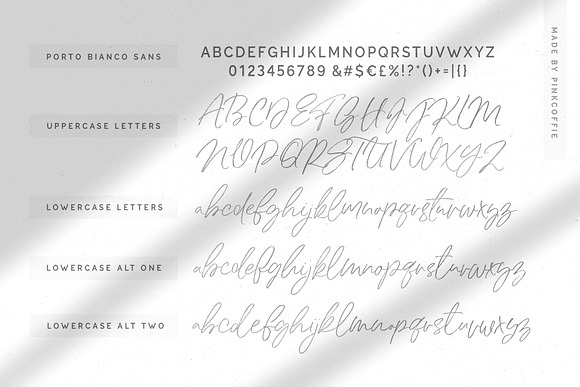 Porto Bianco Font Duo + 22 Logos in Display Fonts - product preview 19