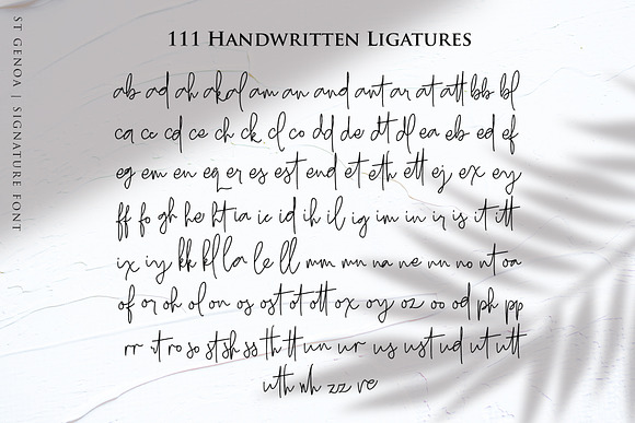 St Genoa - Signature Font in Script Fonts - product preview 4