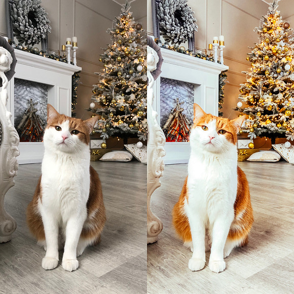 Lightroom Mobile Preset Christmas in Add-Ons - product preview 2