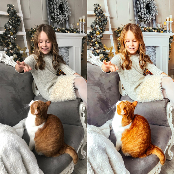 Lightroom Mobile Preset Christmas in Add-Ons - product preview 5