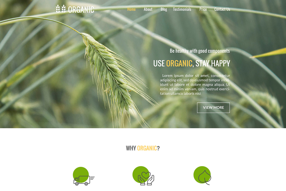 Organic PSD template in Landing Page Templates - product preview 8