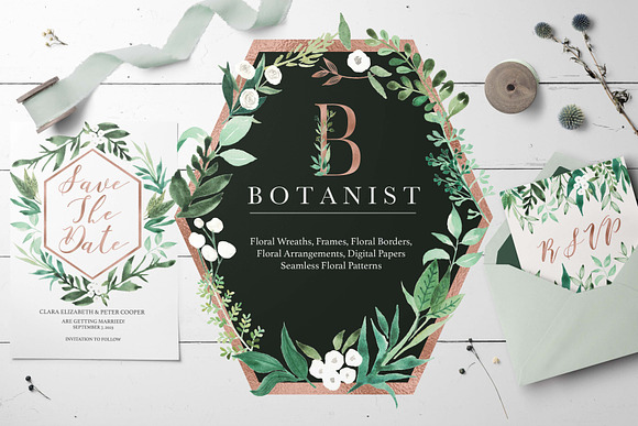 Botanist Watercolor Greenery Leaves in Illustrations - product preview 8