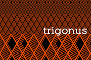Trigonus