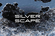 Silver Scape