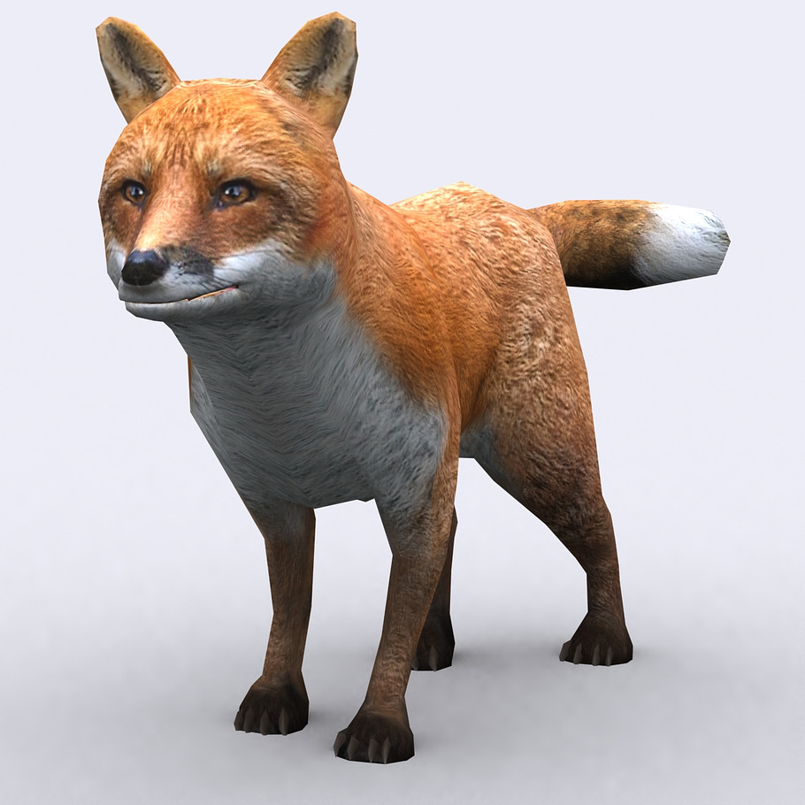 3DRT - Wild animals -Fox in Animals - product preview 2