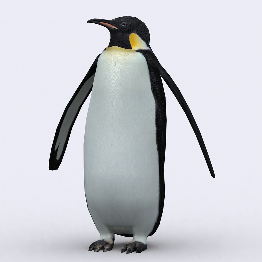 3DRT - Wild animals -Penguin in Animals - product preview 2