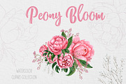 Watercolor Peony Bloom set