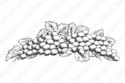 Grapes Bunch Vine And Leaves Woodcut