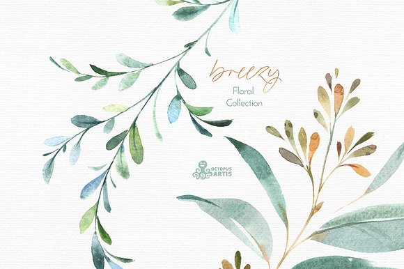 Breezy. Fresh Floral Collection in Illustrations - product preview 3
