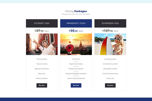 Immi - Immigration WP Theme in WordPress Business Themes - product preview 9