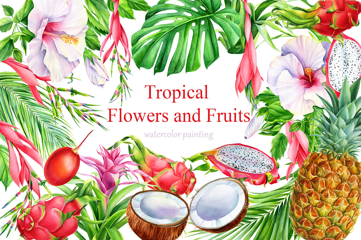 Tropical flowers and fruits in Illustrations - product preview 8