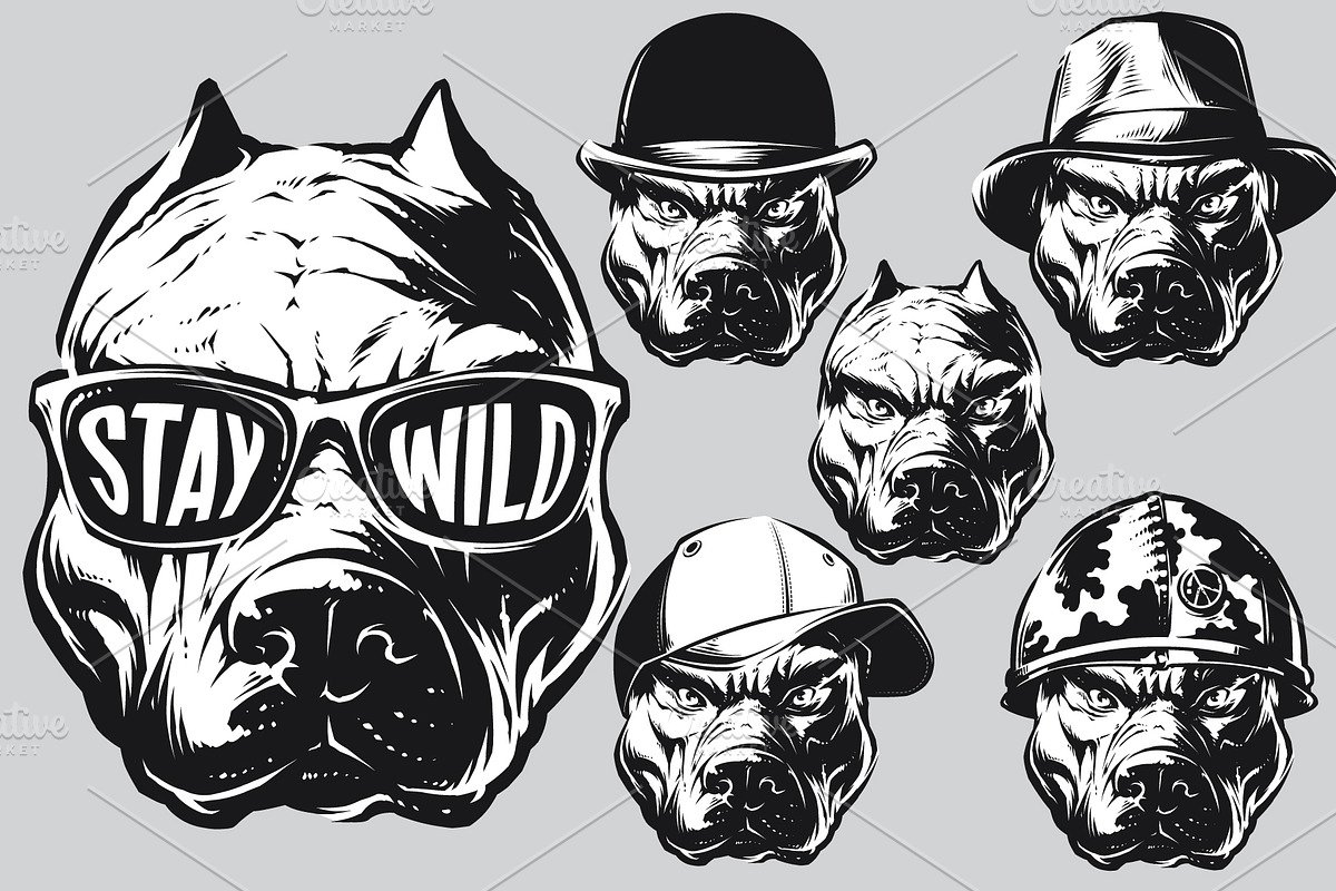 Pitbull in Illustrations - product preview 8