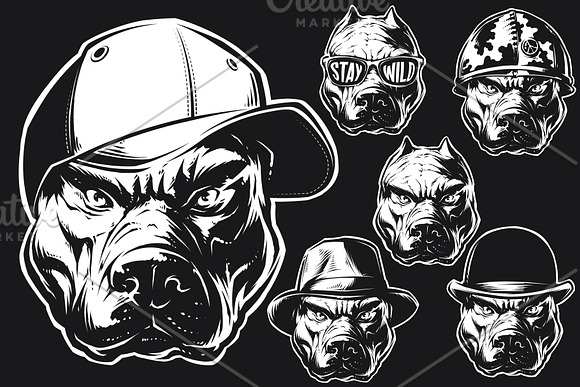 Pitbull in Illustrations - product preview 1