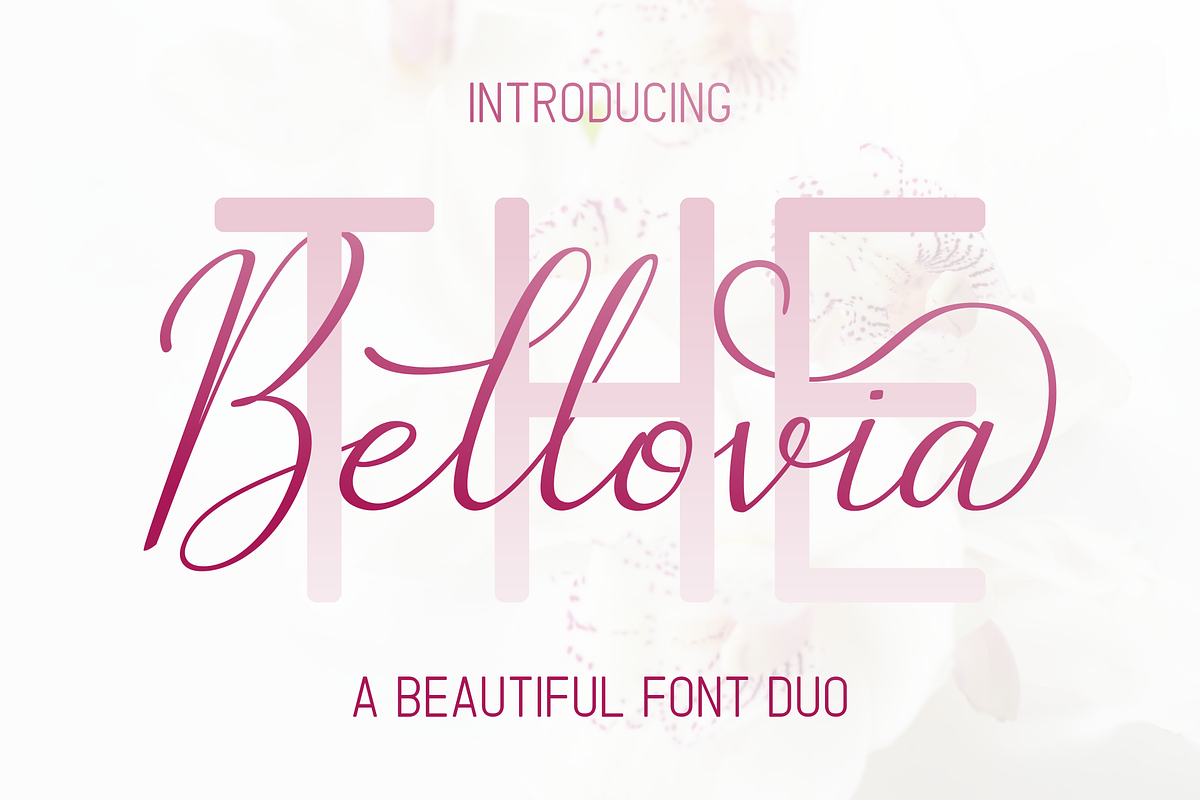 The Bellovia : Beautiful Font Duo in Display Fonts - product preview 8