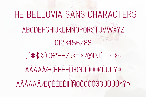 The Bellovia : Beautiful Font Duo in Display Fonts - product preview 11