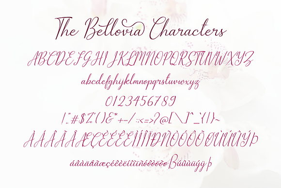 The Bellovia : Beautiful Font Duo in Display Fonts - product preview 12