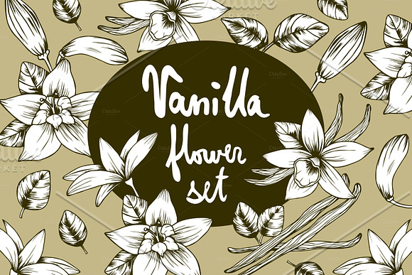 Vanilla flower set in Objects - product preview 3
