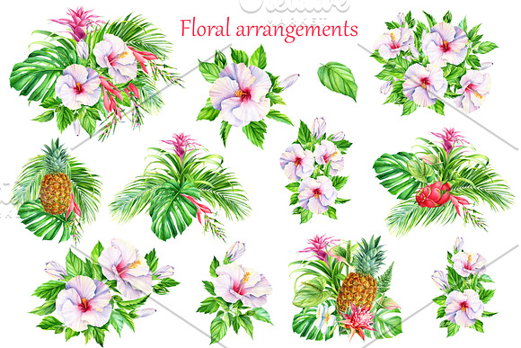 Tropical flowers and fruits in Illustrations - product preview 2