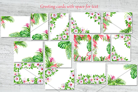 Tropical flowers and fruits in Illustrations - product preview 3