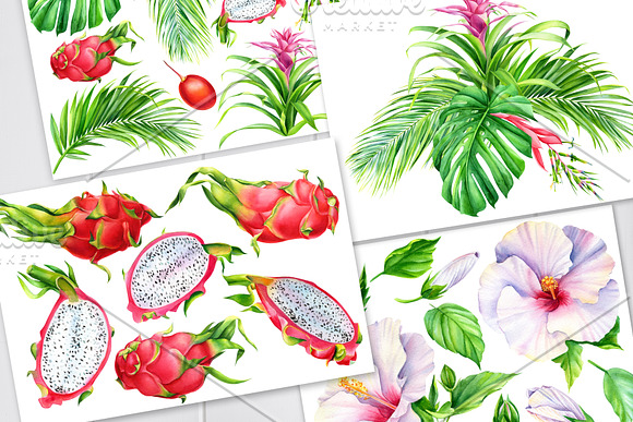 Tropical flowers and fruits in Illustrations - product preview 7