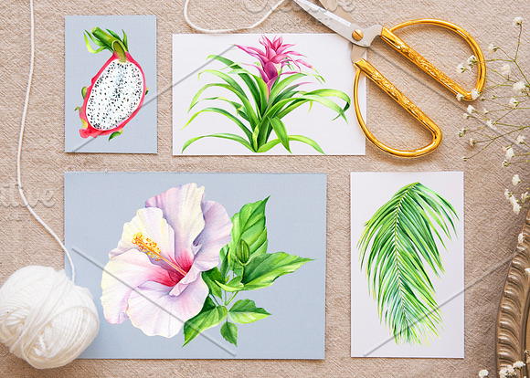 Tropical flowers and fruits in Illustrations - product preview 10