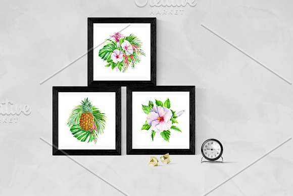 Tropical flowers and fruits in Illustrations - product preview 11