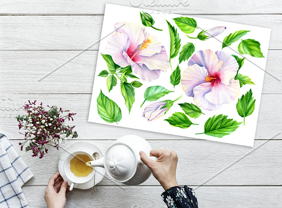Tropical flowers and fruits in Illustrations - product preview 13