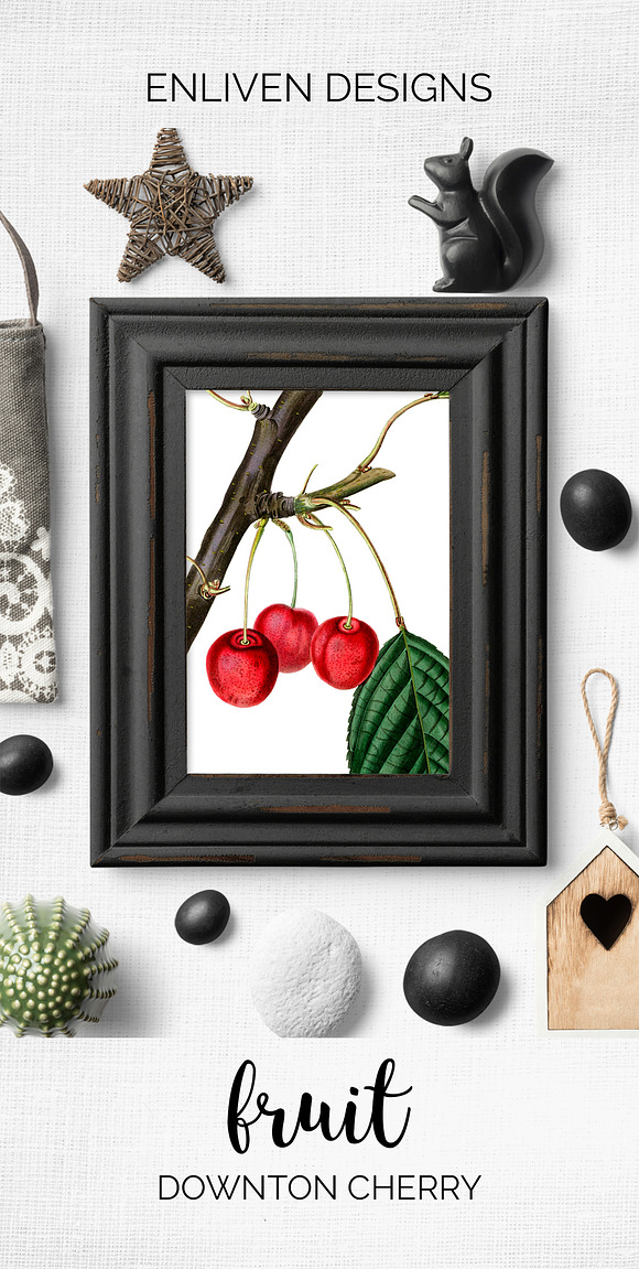 Cherry Clipart Vintage Fruit in Illustrations - product preview 7