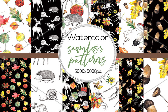 Autumn. Watercolor & graphic set in Objects - product preview 5