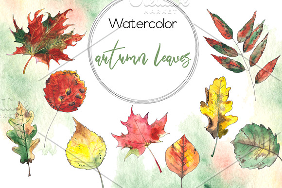 Autumn. Watercolor & graphic set in Objects - product preview 11