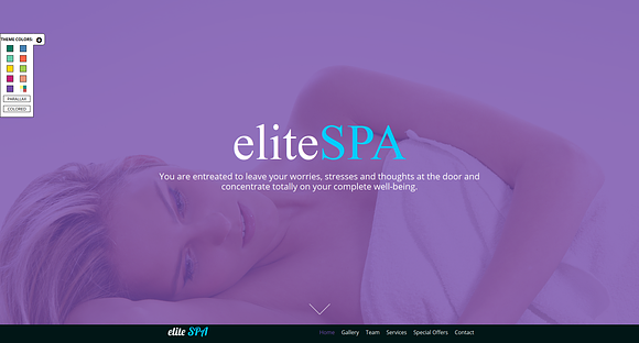 Elite SPA-One Page Responsive Theme in Landing Page Templates - product preview 1