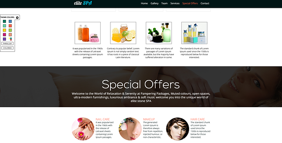 Elite SPA-One Page Responsive Theme in Landing Page Templates - product preview 2