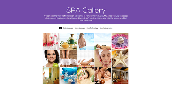 Elite SPA-One Page Responsive Theme in Landing Page Templates - product preview 3