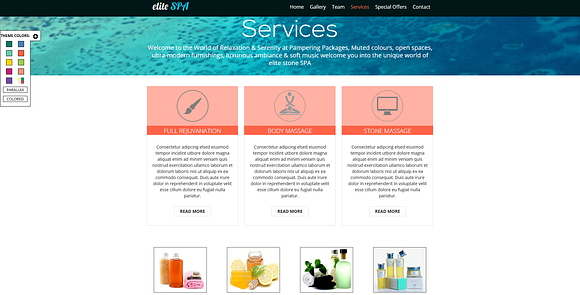 Elite SPA-One Page Responsive Theme in Landing Page Templates - product preview 4