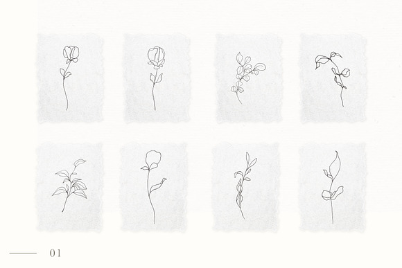 Abstract Fine Art Botanical Study in Illustrations - product preview 3