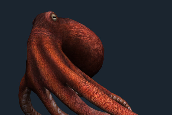 3DRT - Sealife - Octopus