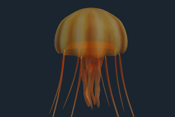 3DRT - Sealife - Jellyfish