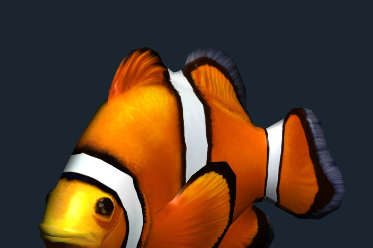 3DRT - Sealife - Clownfish in Animals - product preview 8