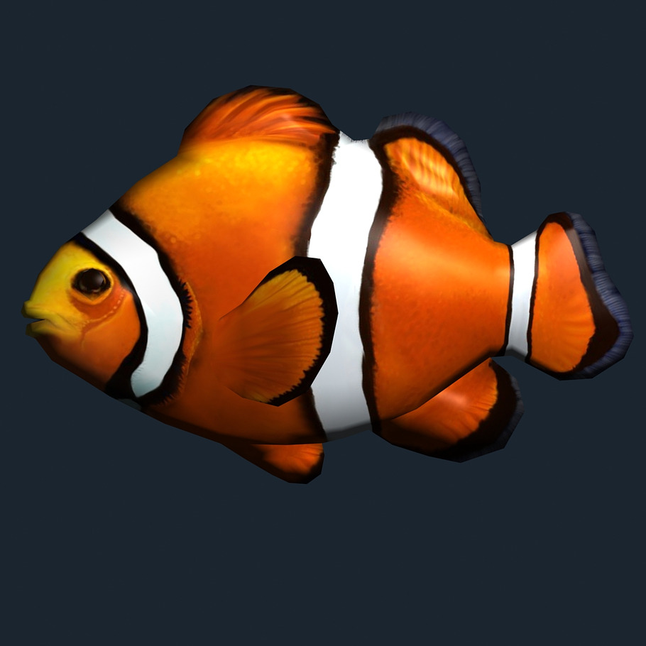 3DRT - Sealife - Clownfish in Animals - product preview 1