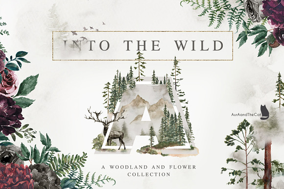 Into The Wild in Illustrations - product preview 18