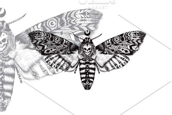 Textured moth in ethnic style in Illustrations - product preview 2