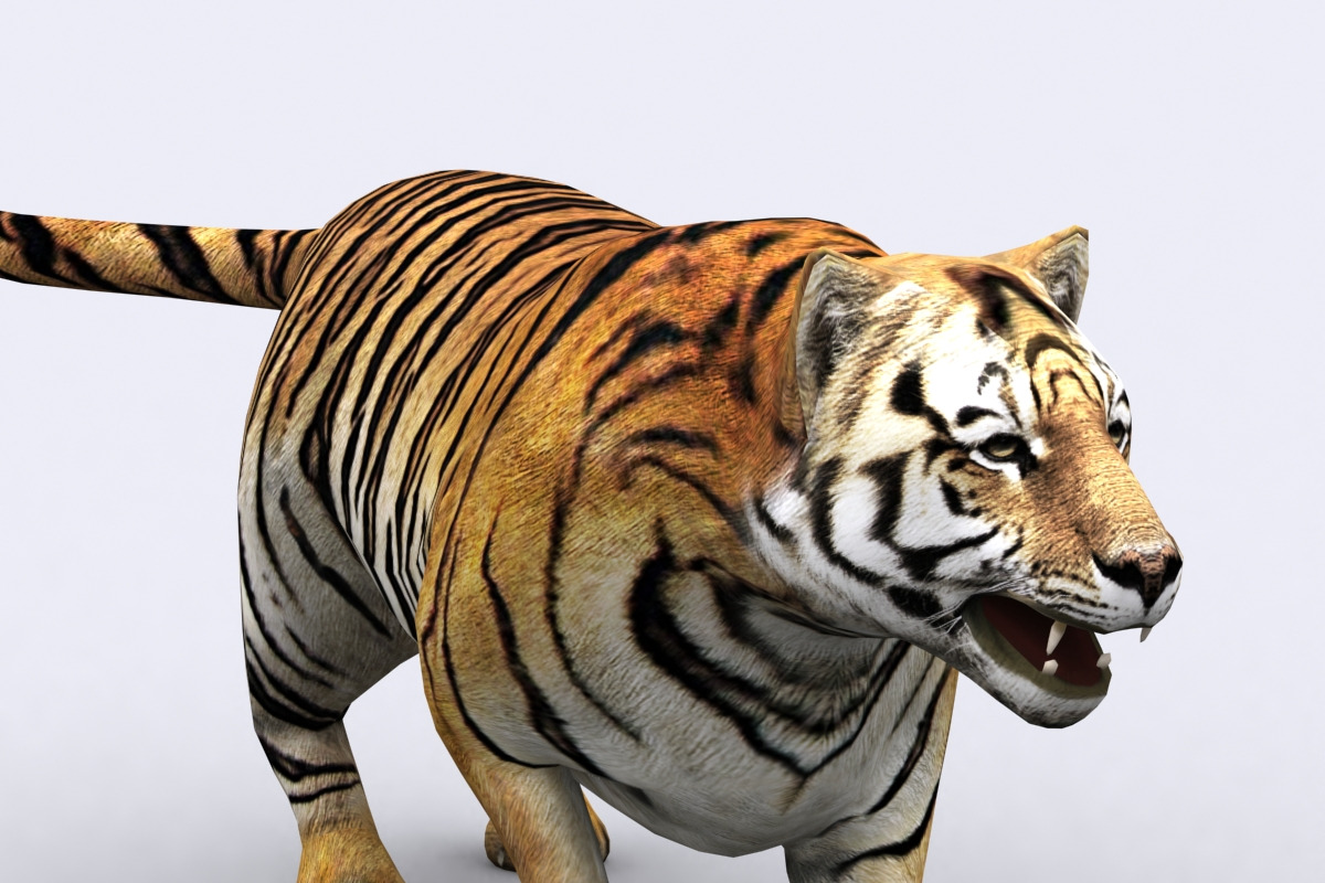 3DRT - Safari animals - Tiger in Animals - product preview 8